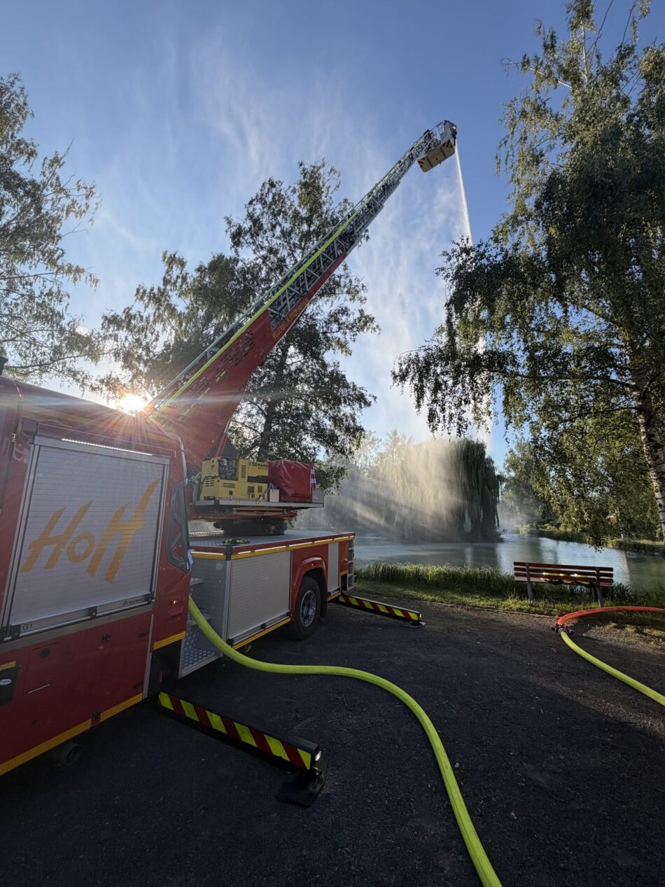 Übung mit der Drehleiter Foto